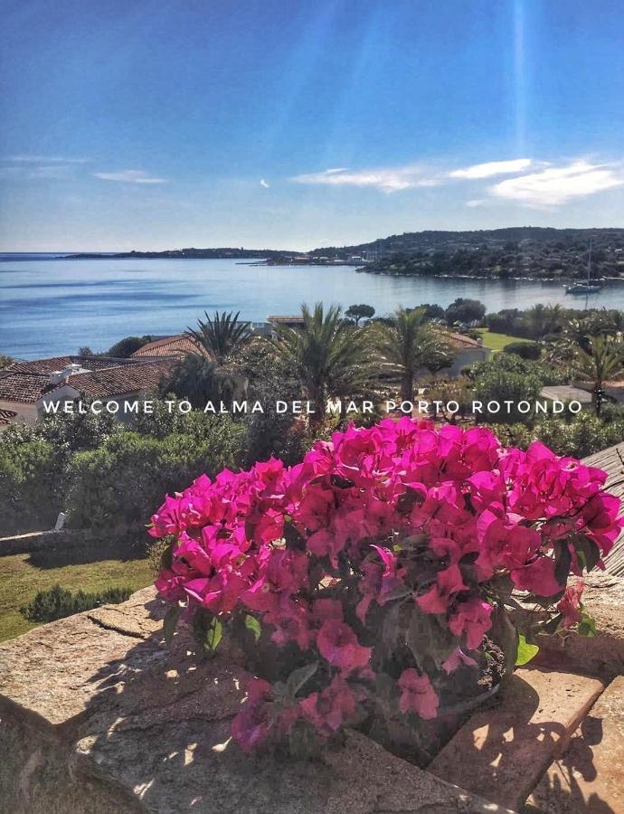 Alma Del Mar Apartment